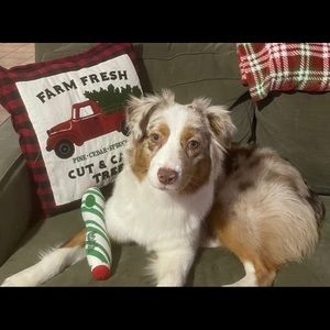 Meet your Posher, Stefanie